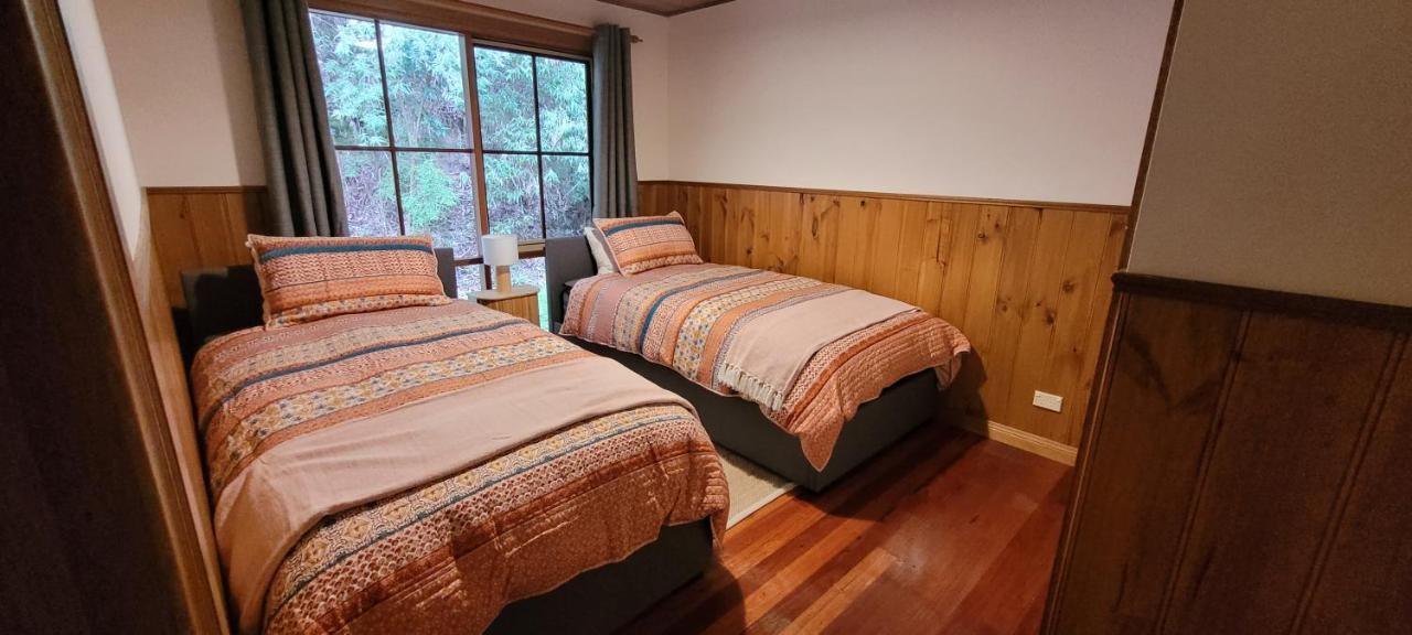 Tall Trees Eco Retreat - Blackwood Cottage Apollo Bay Buitenkant foto