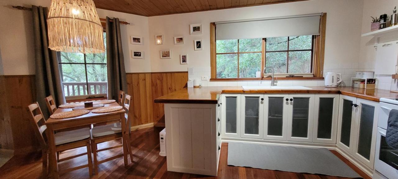 Tall Trees Eco Retreat - Blackwood Cottage Apollo Bay Buitenkant foto
