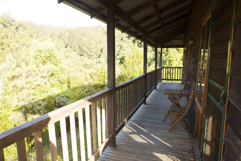 Tall Trees Eco Retreat - Blackwood Cottage Apollo Bay Buitenkant foto