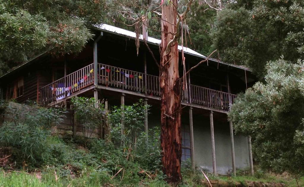 Tall Trees Eco Retreat - Blackwood Cottage Apollo Bay Buitenkant foto