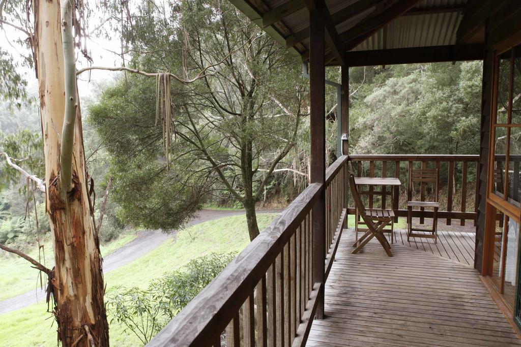 Tall Trees Eco Retreat - Blackwood Cottage Apollo Bay Buitenkant foto