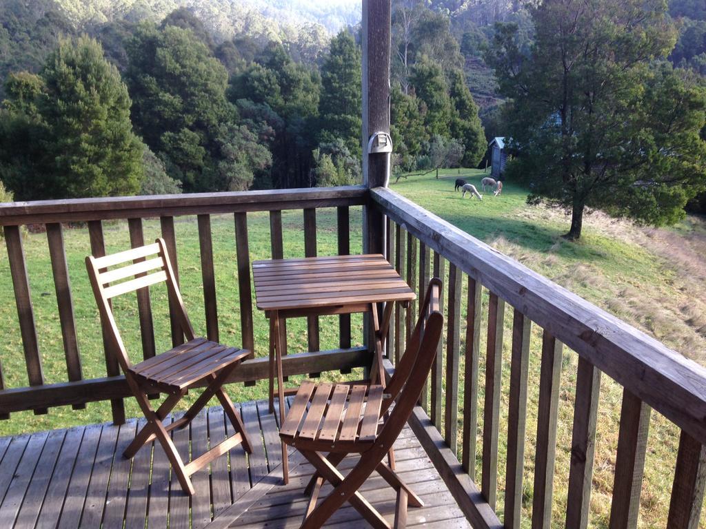 Tall Trees Eco Retreat - Blackwood Cottage Apollo Bay Buitenkant foto