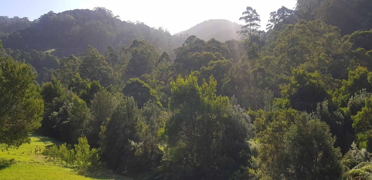Tall Trees Eco Retreat - Blackwood Cottage Apollo Bay Buitenkant foto